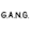 POPINA SARL - GANG
